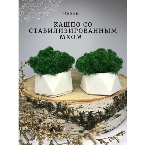 Кашпо для цветов купить в Москве по цене от 13 руб. с доставкой от интернет-магазина Твой Дом